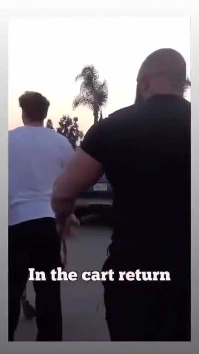 Average cart returner
