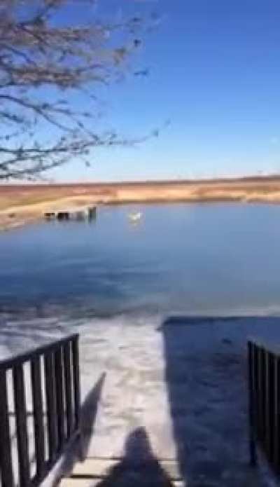 "The pond is frozen" - somewhere in the Free State, South Africa