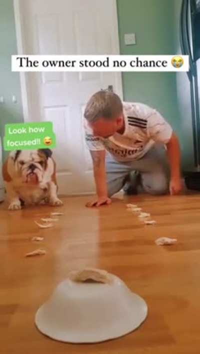 The dog didn’t show any mercy ???