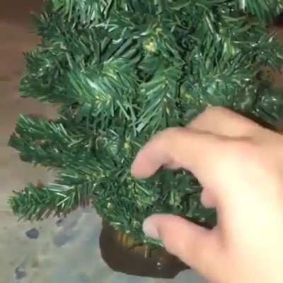 Sentient Tree
