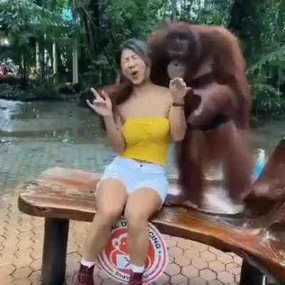 We should return to monke? (Dont know if posted here before)
