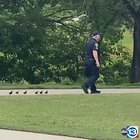 get along little duckies