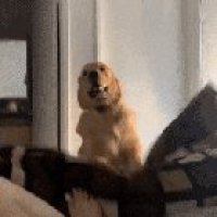 Wake. Up. And. Make. Me. Lunch!