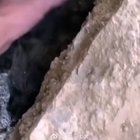 The rescue