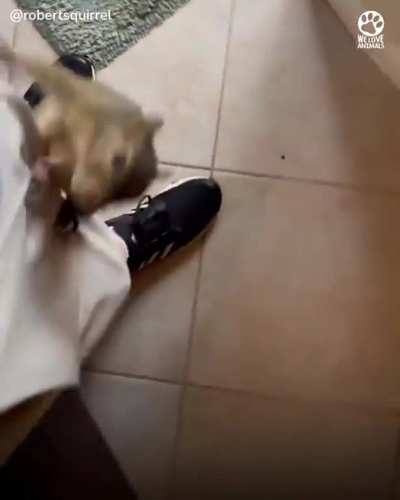 Man spots tiny little creature on the ground and decides to try and save its life