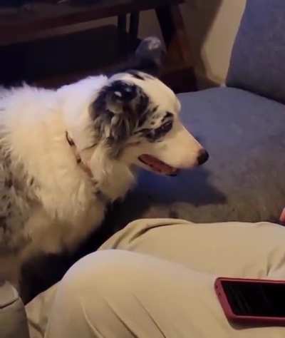 "He'll wake up soon and throw it..."