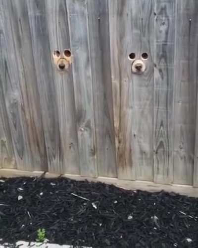 Hello.