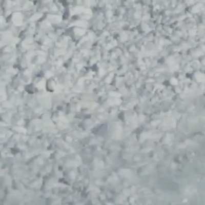 ? A fearless hare crossing a deadly avalanche in Kamchatka.