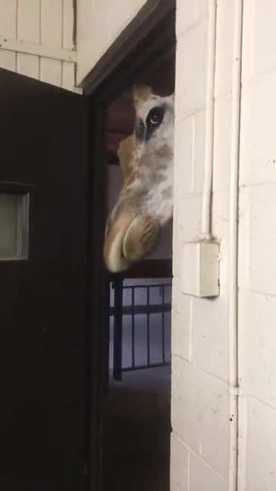 Gimme some!