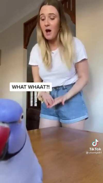 WHAT DOING