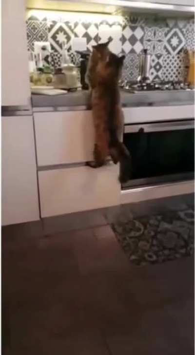 Wholesome cuteness <3