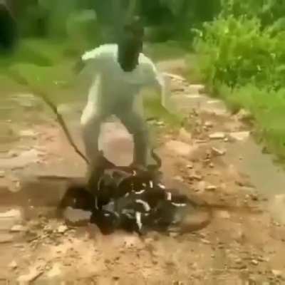 Just dropping some Cargo