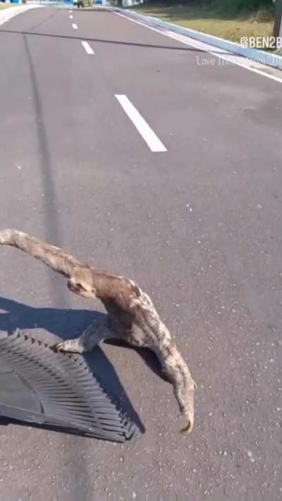 Why he picked it up like that ?