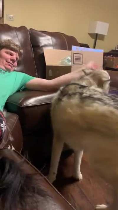 “Human, I didn’t tell you to stop!”