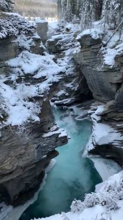 ? Athabasca Falls, Jasper National Park, Canada