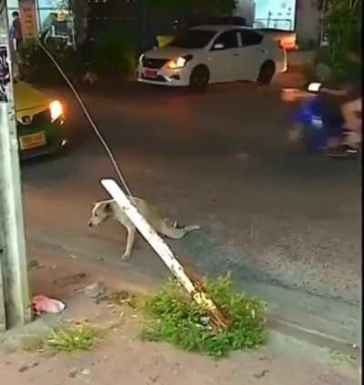 Damn you!?