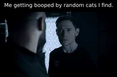 Good relations with the kitties, I have.