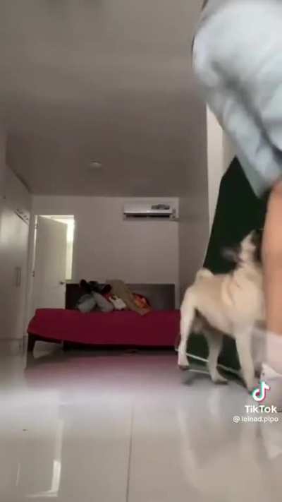 poor puppy…