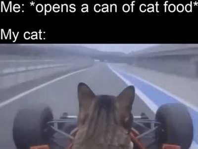 As soon as he hears that sound