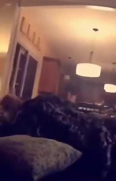 Attempted murder ?