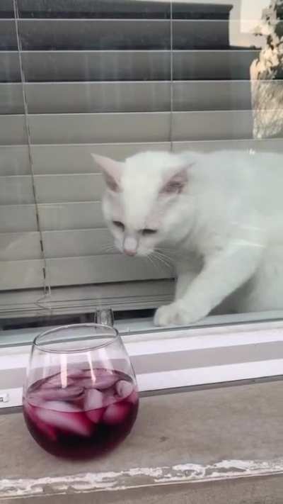 Can I try little bit??