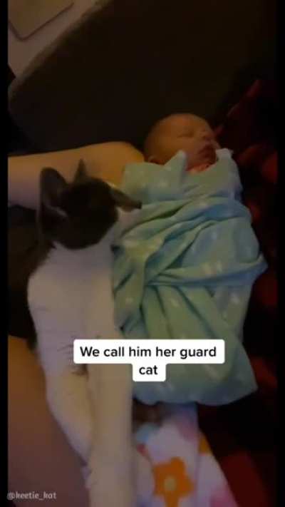 kitty knew his person was on her way ?