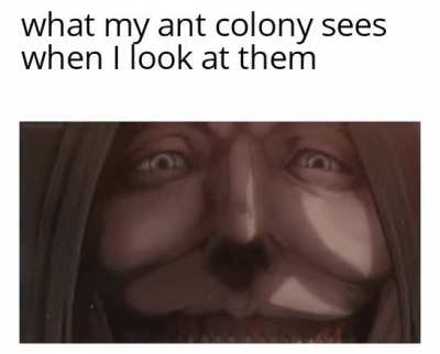 On that day, ant kind recieved a grim reminer