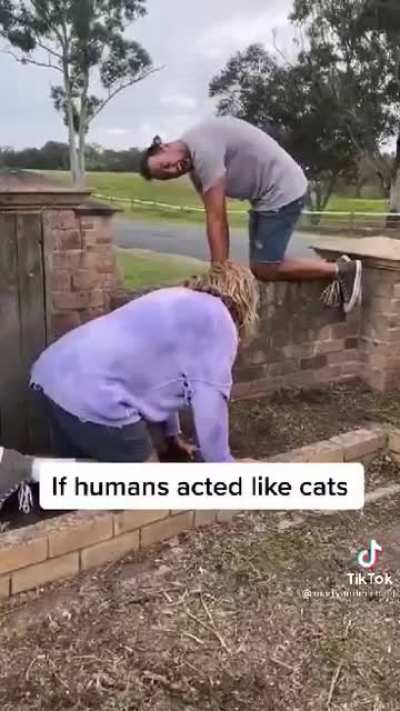 Here is some physical cringe for you.