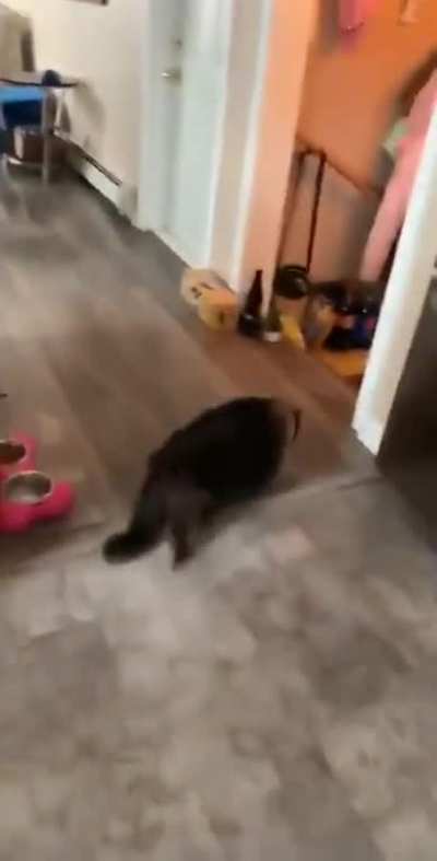"I'M OUTTA HERE!"