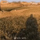 Wow