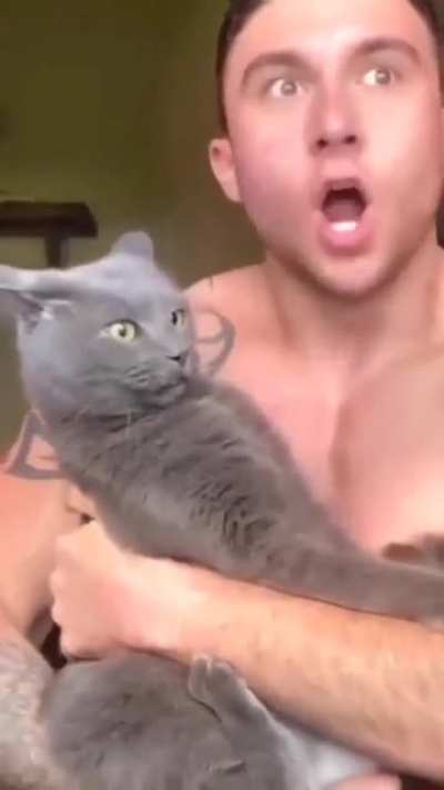 Cats bites cheek, but then becomes enlightened ?