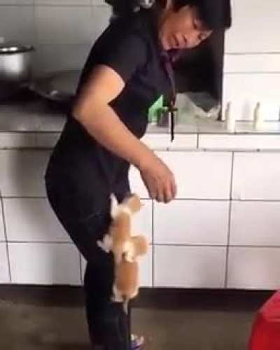 Give us Milk!