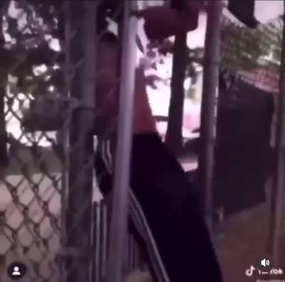 tf he ran up like that for anyway ?