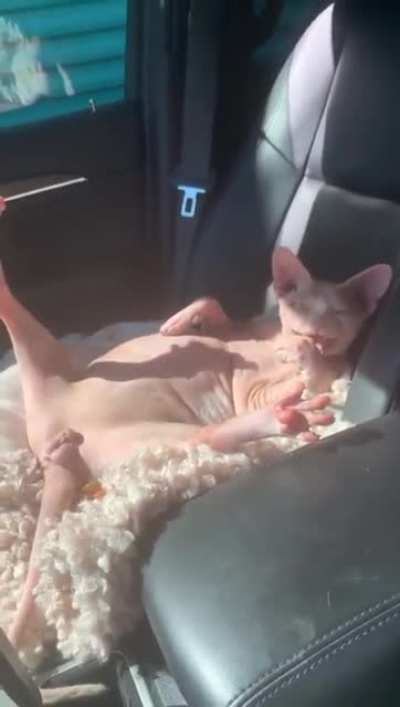 When you try to seduce her into some car shenanigans.