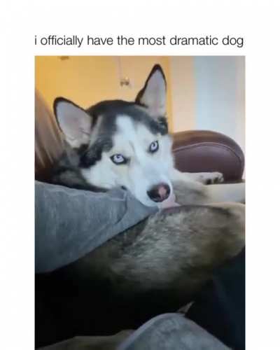 the side-eye in the beginning ?