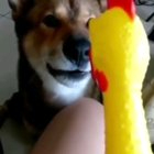 I said NO