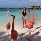 Nice little dance