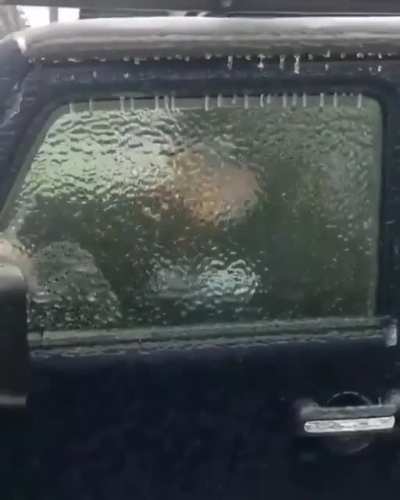She forgot to roll down the window