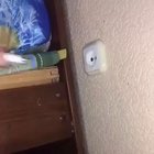 Plugging in a charger.