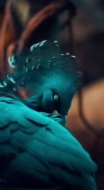 ? Blue bird