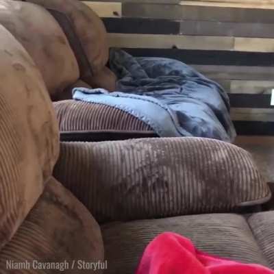 The face of regret