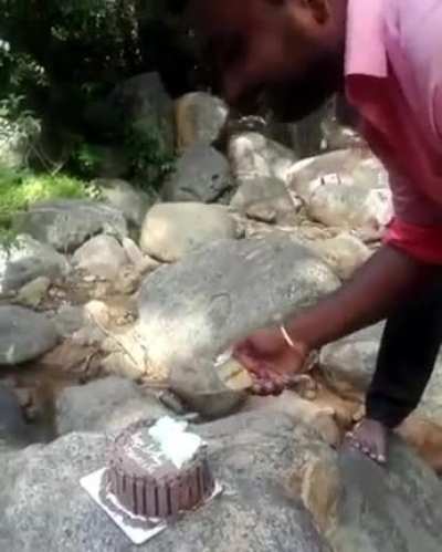 Cake is my favorite, thanks!