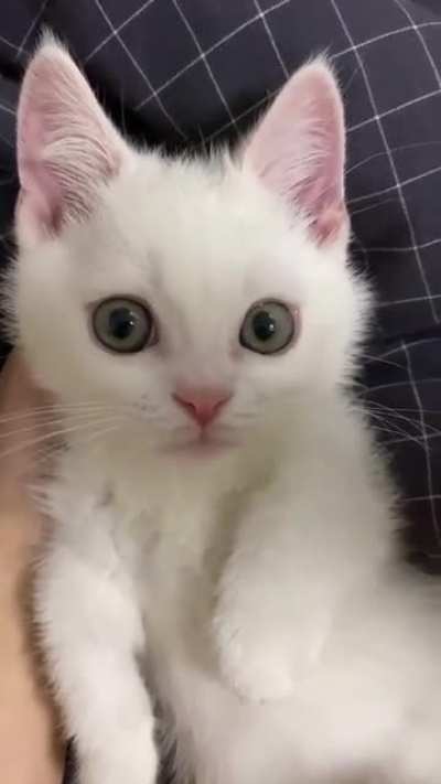 From cute to grumpy