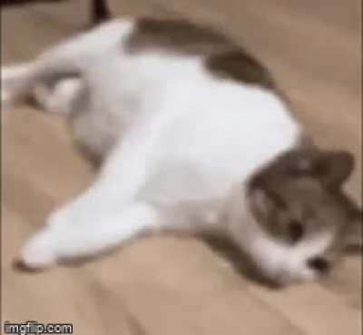 Flip Flop Flip Flop