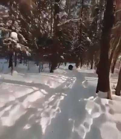 “Wonder what I’ll see with my drone toda-OH FUCK!”