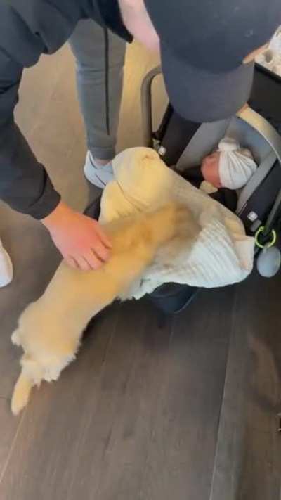The way she was so excited and then so gentle
