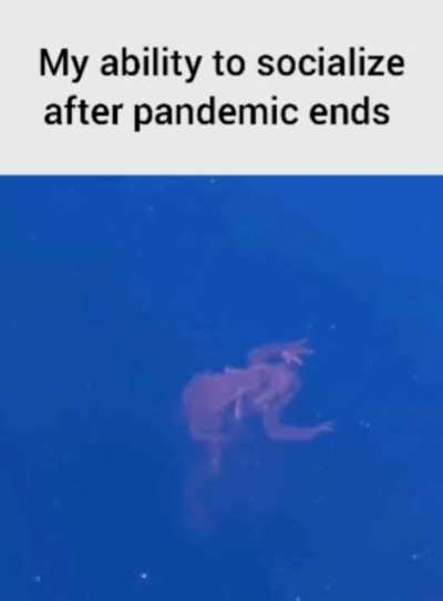 Unga bunga?