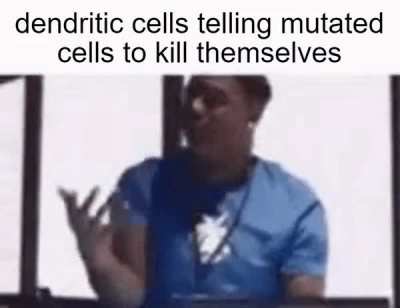 when they dont ?