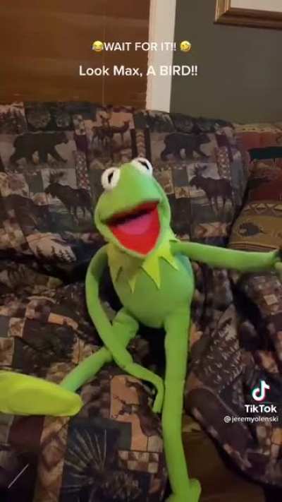Insert interesting title here
