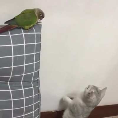 To be stealthy